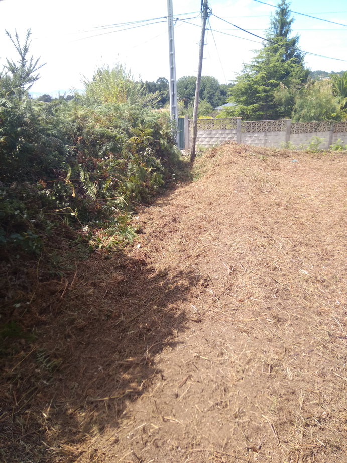 Desbroce Dexo - Oleiros - A Coruña