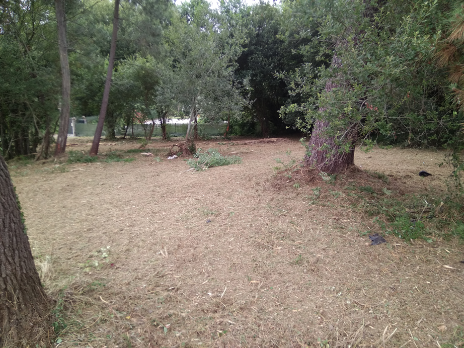 Desbroce Dexo - Oleiros - A Coruña