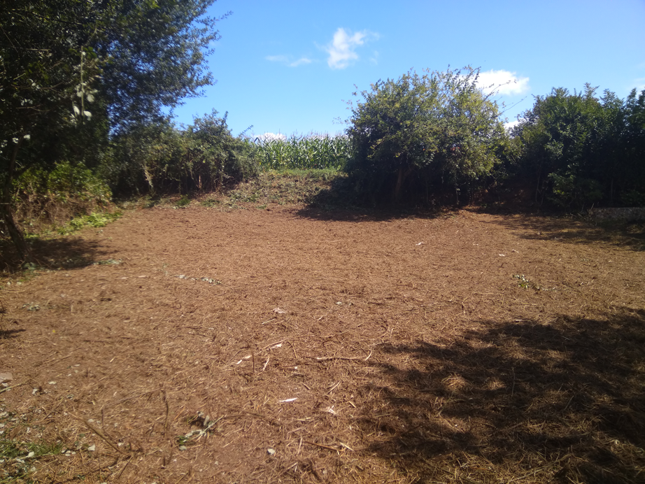 Desbroce Dexo - Oleiros - A Coruña