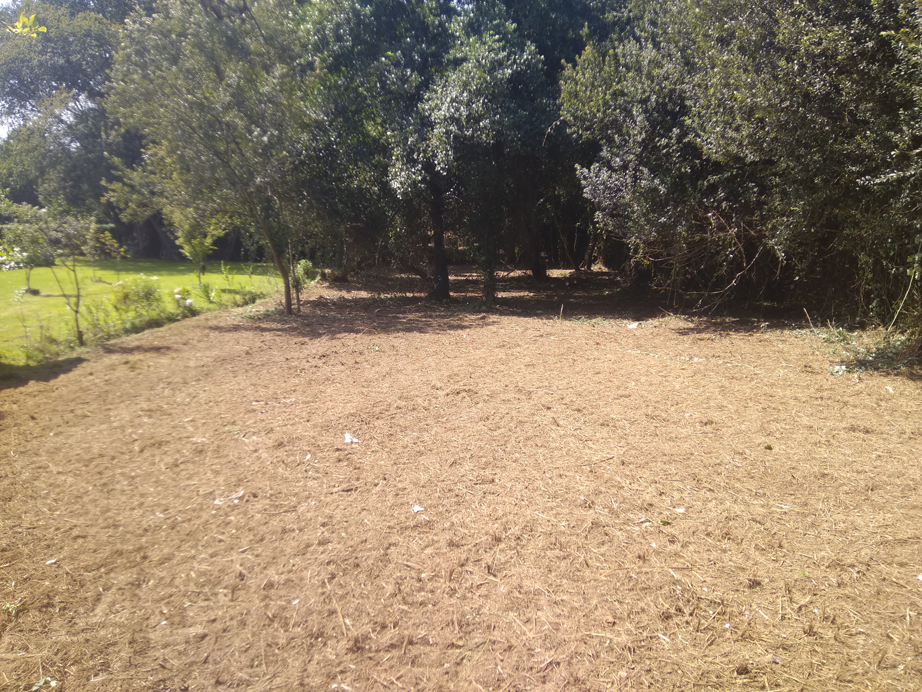 Desbroce Dexo - Oleiros - A Coruña