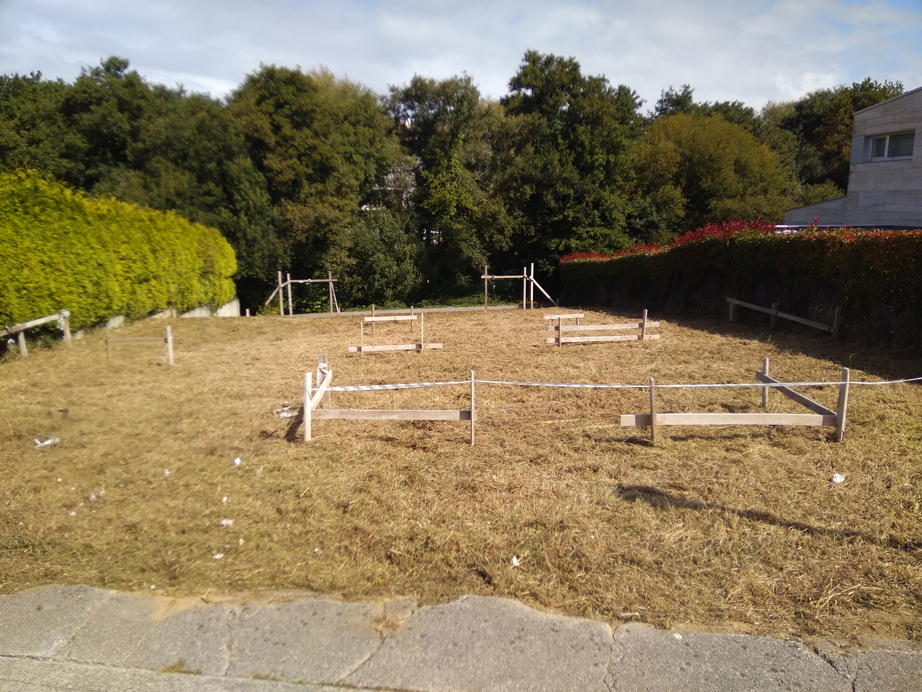 Desbroce Longora - Oleiros - A Coruña