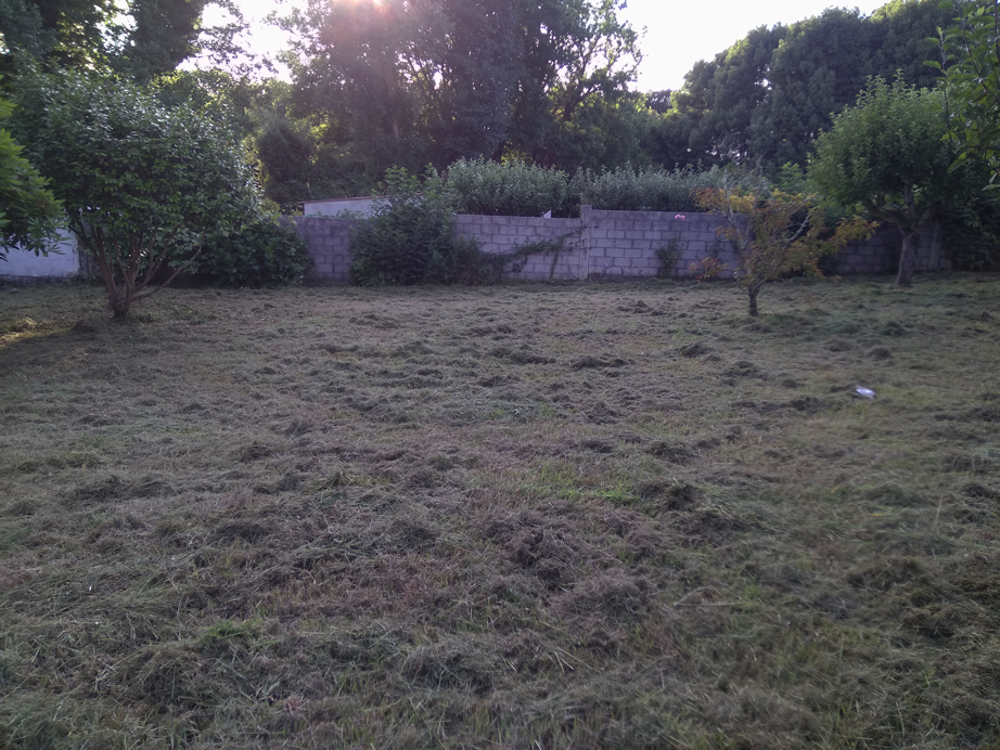 Desbroce Maianca - Oleiros - A Coruña