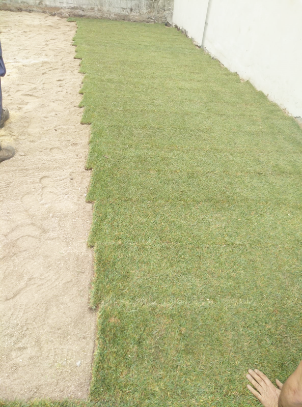 Instalación de tepe y riego automático en Guísamo - Bergondo - A Coruña