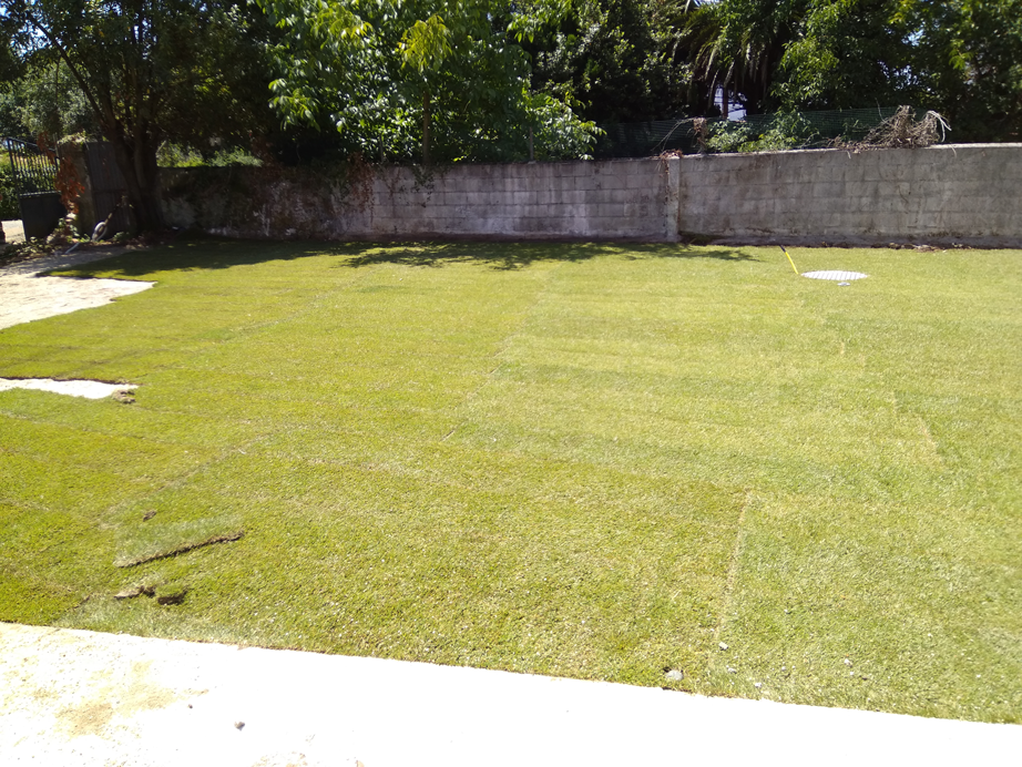 Instalación de tepe y riego automático en Guísamo - Bergondo - A Coruña