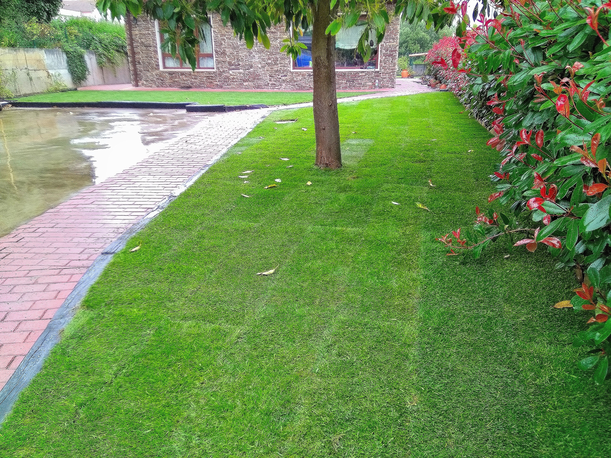 Instalación de tepe en Mondego - Sada - A Coruña